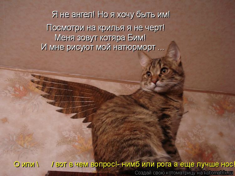 Я не ангел! Но я хочу быть им! Посмотри на крилья я не черт! Меня зовут котяра Бим! И мне рисуют мой... Котоматрица: Я не ангел! Но я хочу быть им! Посмотри на крилья я не черт! Меня зовут котяра Бим! И мне рисуют мой натюрморт ... О или \ / вот в чем вопрос!-