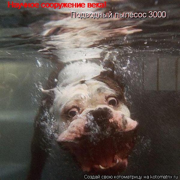 Научное сооружение века! Научное сооружение века! Подводный пылесос 3000 Подводный пылесос 3000... Котоматрица: Научное сооружение века! Научное сооружение века! Подводный пылесос 3000 Подводный пылесос 3000