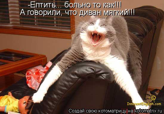 -Ептить... больно то как!!! А говорили, что диван мягкий!!!... Котоматрица: -Ептить... больно то как!!! А говорили, что диван мягкий!!!