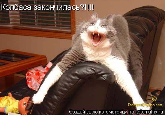Колбаса закончилась?!!!!... Котоматрица: Колбаса закончилась?!!!!