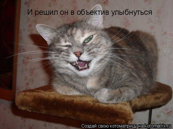И решил он в объектив улыбнуться... Котоматрица: И решил он в объектив улыбнуться