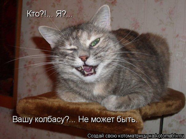 Кто?!... Я?... Вашу колбасу?... Не может быть.... Котоматрица: Кто?!... Я?... Вашу колбасу?... Не может быть.