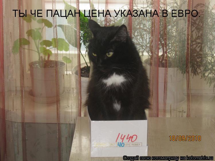 ТЫ ЧЕ ПАЦАН ЦЕНА УКАЗАНА В ЕВРО.... Котоматрица: ТЫ ЧЕ ПАЦАН ЦЕНА УКАЗАНА В ЕВРО.