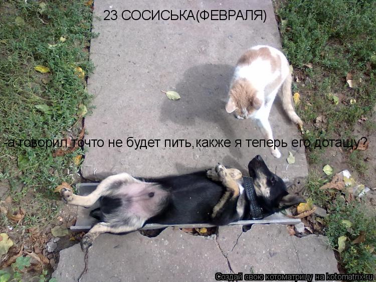 Котоматрица: 23 СОСИСЬКА(ФЕВРАЛЯ) -а говорил точто не будет пить,какже я теперь его дотащу?