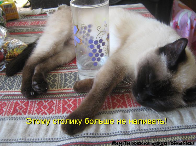 Этому столику больше не наливать!... Котоматрица: Этому столику больше не наливать!