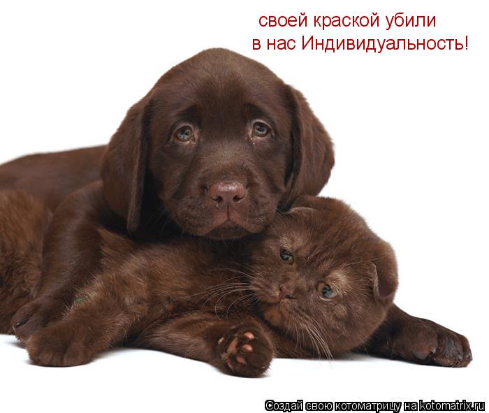 своей краской убили в нас Индивидуальность!... Котоматрица: своей краской убили в нас Индивидуальность!