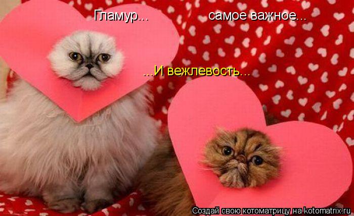 Гламур... самое важное... ...И вежлевость...... Котоматрица: Гламур... самое важное... ...И вежлевость...