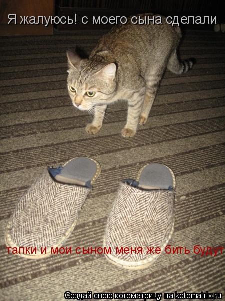 Я жалуюсь! с моего сына сделали тапки и мои сыном меня же бить будут!... Котоматрица: Я жалуюсь! с моего сына сделали тапки и мои сыном меня же бить будут!