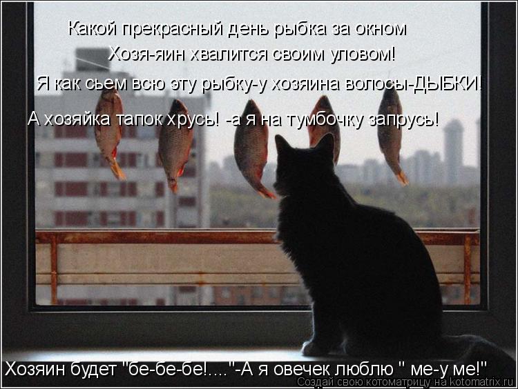 Какой прекрасный день рыбка за окном Хозя-яин хвалится своим уловом! Я как сьем всю эту рыбку-у хозя... Котоматрица: Какой прекрасный день рыбка за окном Хозя-яин хвалится своим уловом! Я как сьем всю эту рыбку-у хозяина волосы-ДЫБКИ! А хозяйка тапок хрусь!