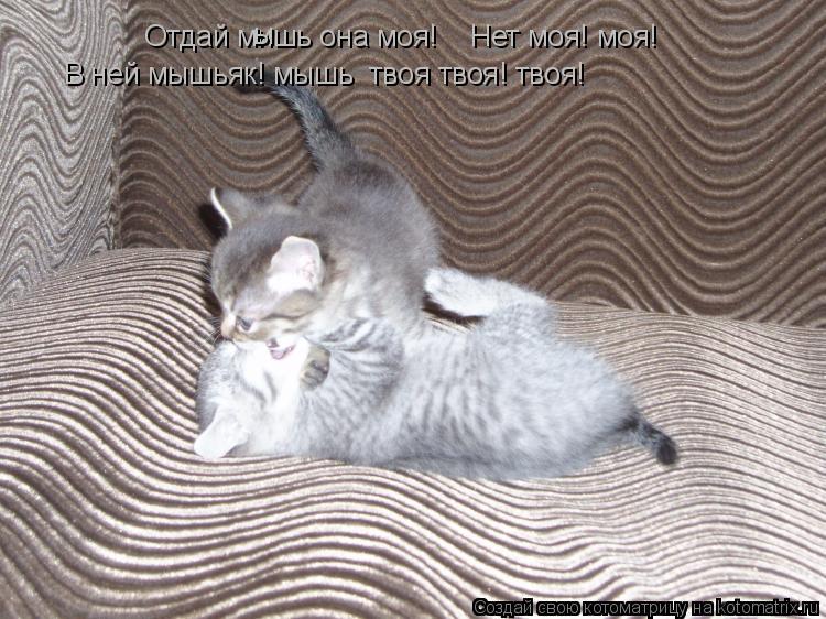 Отдай мишь она моя! Нет моя! моя! В ней мышьяк! мышь твоя твоя! твоя! ы... Котоматрица: Отдай мишь она моя! Нет моя! моя! В ней мышьяк! мышь твоя твоя! твоя! ы