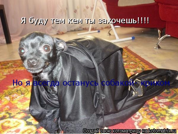 Я буду тем кем ты захочешь!!!! Но я всегда останусь собакой- криком... Котоматрица: Я буду тем кем ты захочешь!!!! Но я всегда останусь собакой- криком