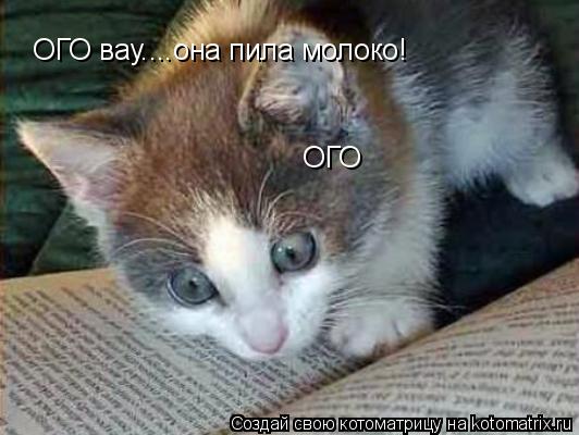 ОГО ОГО вау....она пила молоко!... Котоматрица: ОГО ОГО вау....она пила молоко!