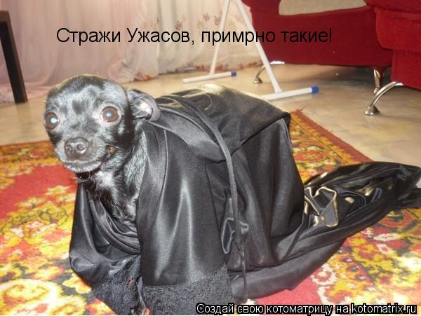 Котоматрица: Стражи Ужасов, примрно такие!