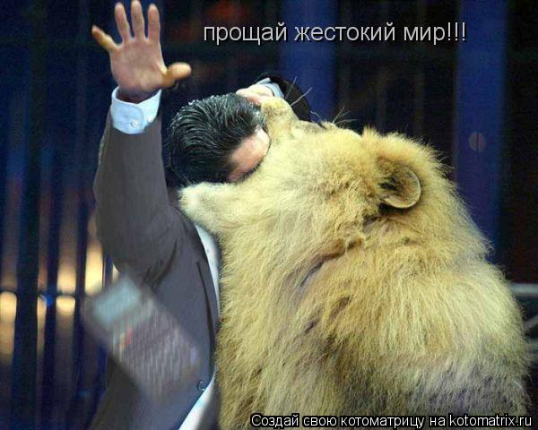 прощай жестокий мир!!!... Котоматрица: прощай жестокий мир!!!