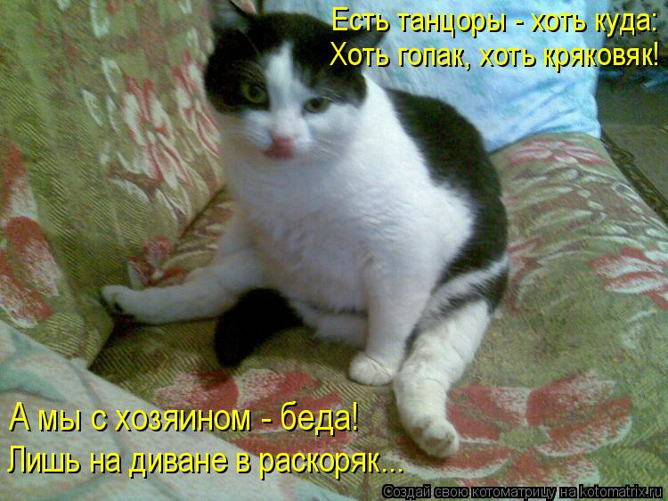 Хоть гопак, хоть кряковяк! Есть танцоры - хоть куда: А мы с хозяином - беда! Лишь на диване в раскоря... Котоматрица: Хоть гопак, хоть кряковяк! Есть танцоры - хоть куда: А мы с хозяином - беда! Лишь на диване в раскоряк...