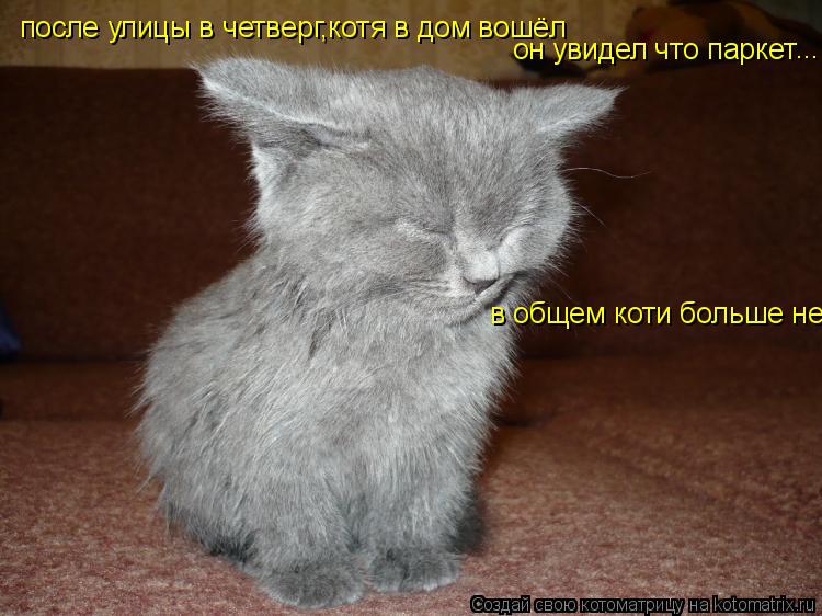 после улицы в четверг,котя в дом вошёл он увидел что паркет ... в общем коти больше нет... Котоматрица: после улицы в четверг,котя в дом вошёл он увидел что паркет ... в общем коти больше нет