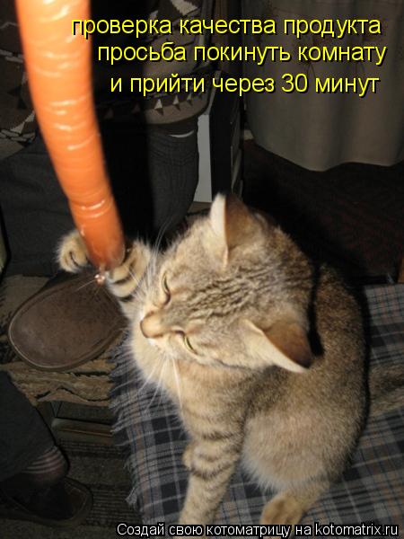 проверка качества продукта просьба покинуть комнату и прийти через 30 минут... Котоматрица: проверка качества продукта просьба покинуть комнату и прийти через 30 минут