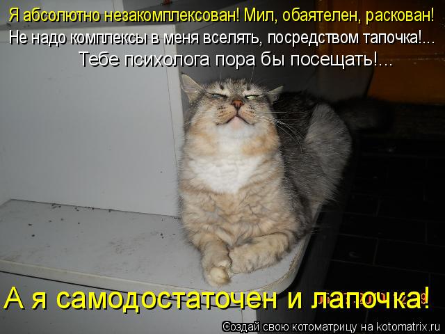 Котоматрица: Я абсолютно незакомплексован! Мил, обаятелен, раскован! А я самодостаточен и лапочка! Не надо комплексы в меня вселять, посредством тапочка!