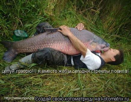 целуй говорю!!! я вместо жабы сегодня стреелы ловила!... Котоматрица: целуй говорю!!! я вместо жабы сегодня стреелы ловила!