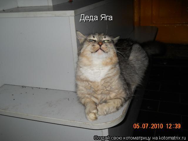Деда Яга... Котоматрица: Деда Яга