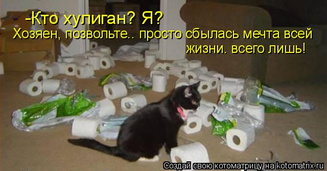 -Кто хулиган? Я? Хозяен, позвольте.. просто сбылась мечта всей жизни. всего лишь!... Котоматрица: -Кто хулиган? Я? Хозяен, позвольте.. просто сбылась мечта всей жизни. всего лишь!