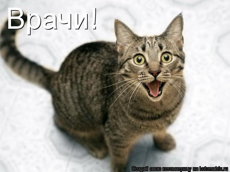 Врачи!... Котоматрица: Врачи!