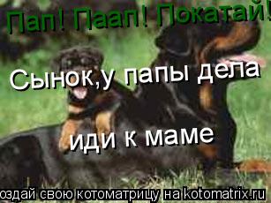 Пап! Паап! Покатай! Сынок,у папы дела иди к маме... Котоматрица: Пап! Паап! Покатай! Сынок,у папы дела иди к маме