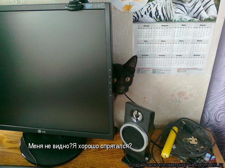 Меня не видно?Я хорошо спрятался?... Котоматрица: Меня не видно?Я хорошо спрятался?