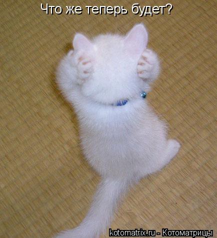 Что же теперь будет?... Котоматрица: Что же теперь будет?