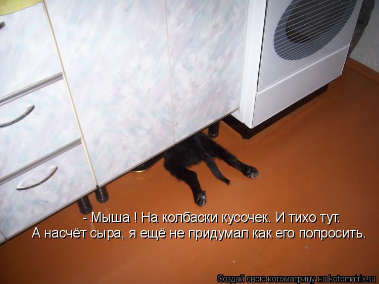 - Мыша ! На колбаски кусочек. И тихо тут. А насчёт сыра, я ещё не придумал как его попросить.... Котоматрица: - Мыша ! На колбаски кусочек. И тихо тут. А насчёт сыра, я ещё не придумал как его попросить.