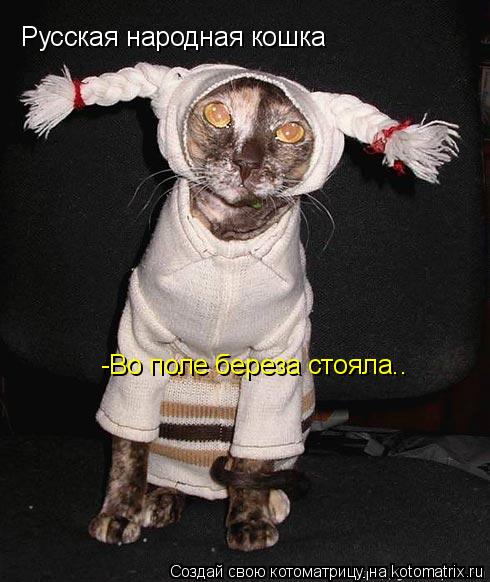 Русская народная кошка -Во поле береза стояла..... Котоматрица: Русская народная кошка -Во поле береза стояла..
