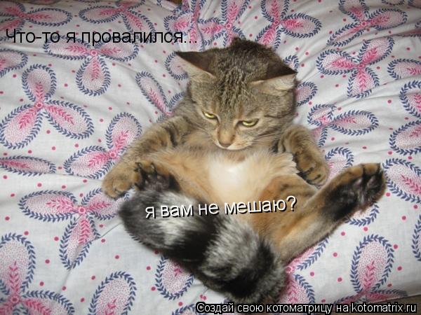 Котоматрица: Что-то я провалился... я вам не мешаю?