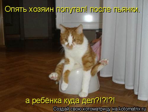 Опять хозяин попутал! после пьянки. а ребёнка куда дел?!?!?!... Котоматрица: Опять хозяин попутал! после пьянки. а ребёнка куда дел?!?!?!