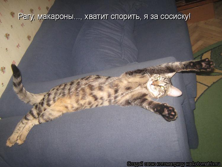 Рагу, макароны..., хватит спорить, я за сосиску!... Котоматрица: Рагу, макароны..., хватит спорить, я за сосиску!