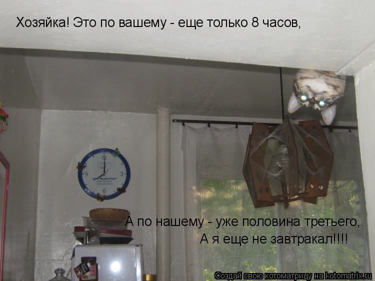 Хозяйка! Это по вашему - еще только 8 часов, А по нашему - уже половина третьего, А я еще не завтр... Котоматрица: Хозяйка! Это по вашему - еще только 8 часов, А по нашему - уже половина третьего, А я еще не завтракал!!!!