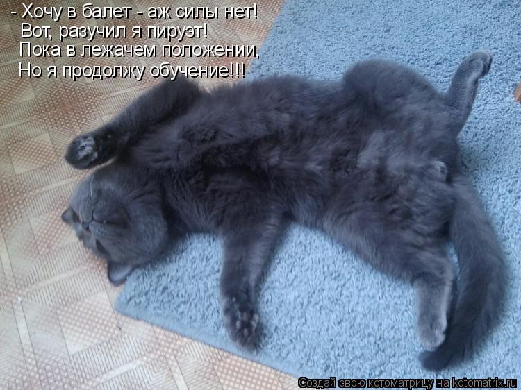 - Хочу в балет - аж силы нет! Вот, разучил я пируэт! Пока в лежачем положении, Но я продолжу обучение... Котоматрица: - Хочу в балет - аж силы нет! Вот, разучил я пируэт! Пока в лежачем положении, Но я продолжу обучение!!!