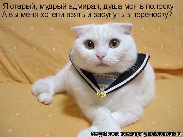 Я старый, мудрый адмирал, душа моя в полоску А вы меня хотели взять и засунуть в переноску?... Котоматрица: Я старый, мудрый адмирал, душа моя в полоску А вы меня хотели взять и засунуть в переноску?