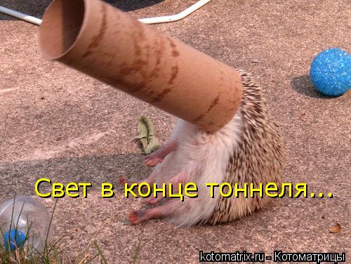 Свет в конце тоннеля...... Котоматрица: Свет в конце тоннеля...