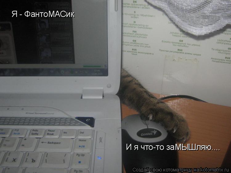 Я - ФантоМАСик И я что-то заМЫШляю....... Котоматрица: Я - ФантоМАСик И я что-то заМЫШляю....