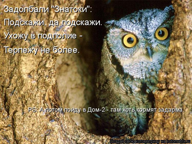 Задолбали "Знатоки": Подскажи, да подскажи. Ухожу в подполие - Терпежу не более. PS: А потом пойду в... Котоматрица: Задолбали "Знатоки": Подскажи, да подскажи. Ухожу в подполие - Терпежу не более. PS: А потом пойду в Дом-2 - там хоть кормят задарма.