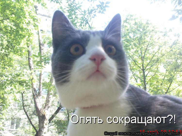 Опять сокращают?!... Котоматрица: Опять сокращают?!