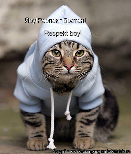 Йоу!Респект братан! Respekt boy!... Котоматрица: Йоу!Респект братан! Respekt boy!