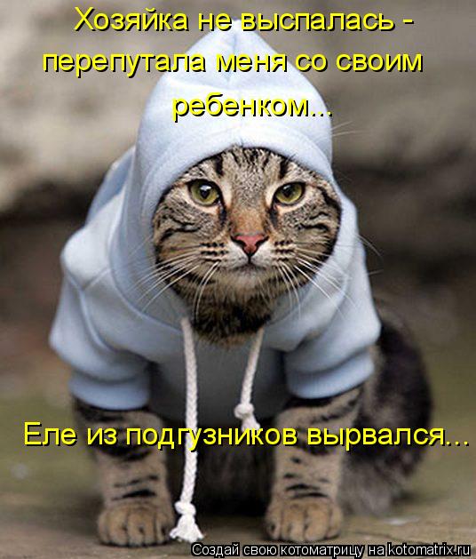 Хозяйка не выспалась - перепутала меня со своим ребенком... Еле из подгузников вырвался...... Котоматрица: Хозяйка не выспалась - перепутала меня со своим ребенком... Еле из подгузников вырвался...