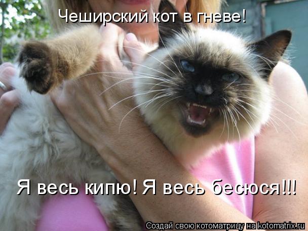 Котоматрица: Чеширский кот в гневе! Я весь кипю! Я весь бесюся!!!