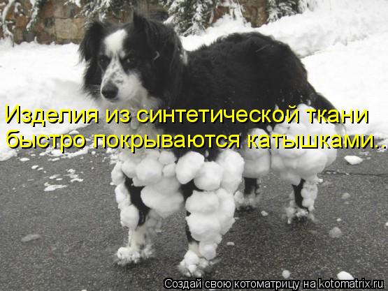 Изделия из синтетической ткани быстро покрываются катышками...... Котоматрица: Изделия из синтетической ткани быстро покрываются катышками...