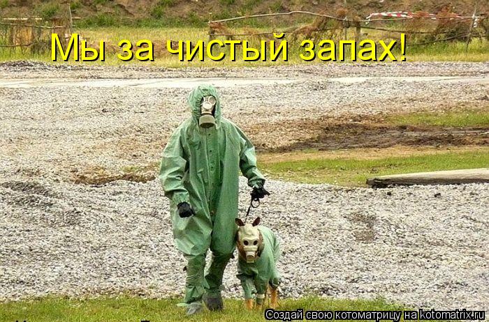 Мы за чистый запах!... Котоматрица: Мы за чистый запах!