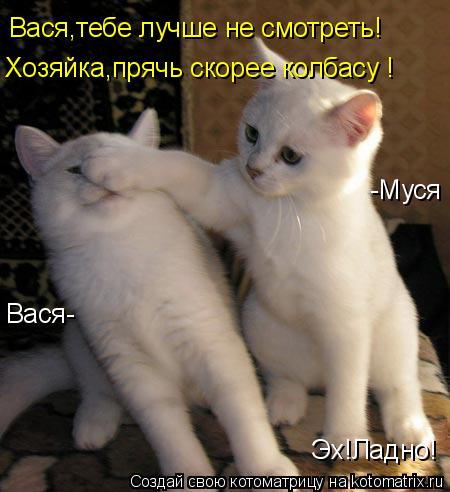Вася,тебе лучше не смотреть! Хозяйка,прячь скорее колбасу ! Эх!Ладно! Вася- -Муся... Котоматрица: Вася,тебе лучше не смотреть! Хозяйка,прячь скорее колбасу ! Эх!Ладно! Вася- -Муся