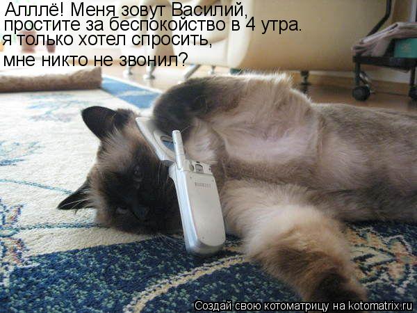 Алллё! Меня зовут Василий, мне никто не звонил? простите за беспокойство в 4 утра. я только хотел спр... Котоматрица: Алллё! Меня зовут Василий, мне никто не звонил? простите за беспокойство в 4 утра. я только хотел спросить,