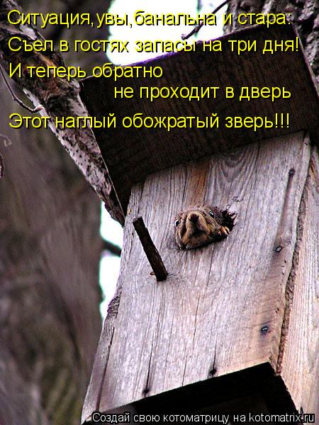 Ситуация,увы,банальна и стара: Съел в гостях запасы на три дня! И теперь обратно не проходит в дверь... Котоматрица: Ситуация,увы,банальна и стара: Съел в гостях запасы на три дня! И теперь обратно не проходит в дверь Этот наглый обожратый зверь!!!