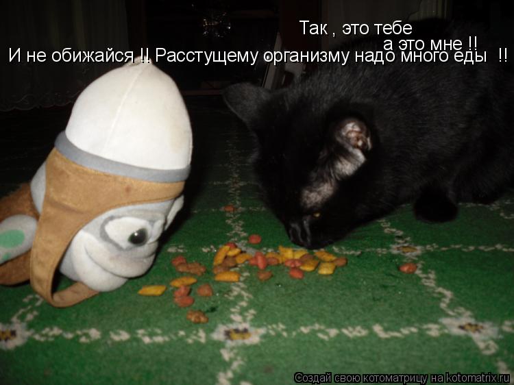 Так , это тебе а это мне !! И не обижайся !! Расстущему организму надо много еды !!... Котоматрица: Так , это тебе а это мне !! И не обижайся !! Расстущему организму надо много еды !!